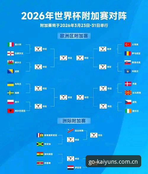世界杯观赛体验全面评测：签证困局背后，一场"冷场"赛事的深度剖析